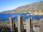 real estate, real estate broker, CAR, MCAR, monterey bay real estate, photography, web design, art, buy a home, sell a home